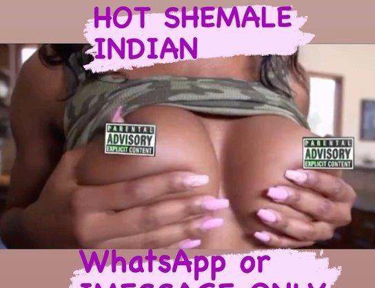 SHEMALECHOCOLATEINDIAN is Female Escorts. | Melbourne | Australia | Australia | escortsandfun.com 